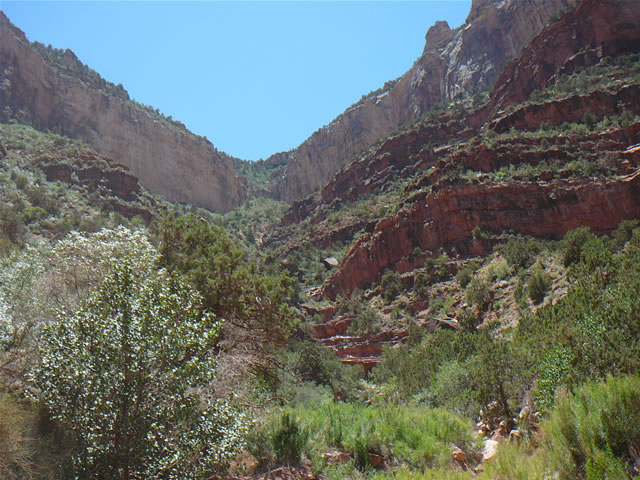 images/A-Mule Ride- returning to the Rim (7).jpg